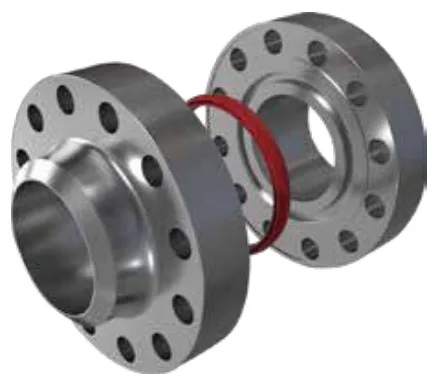 Compact Flange — Flanges