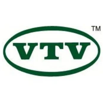 VTV logo