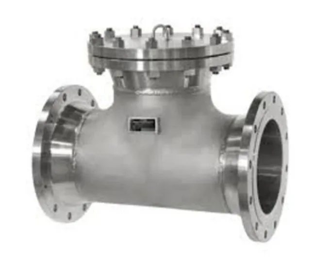 T Type Strainer — Engineered Equipment & Components