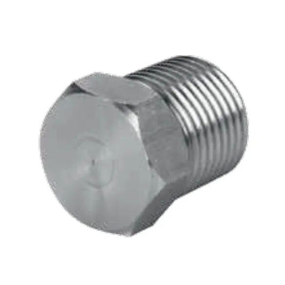 Plug — Forged Fittings & Olets